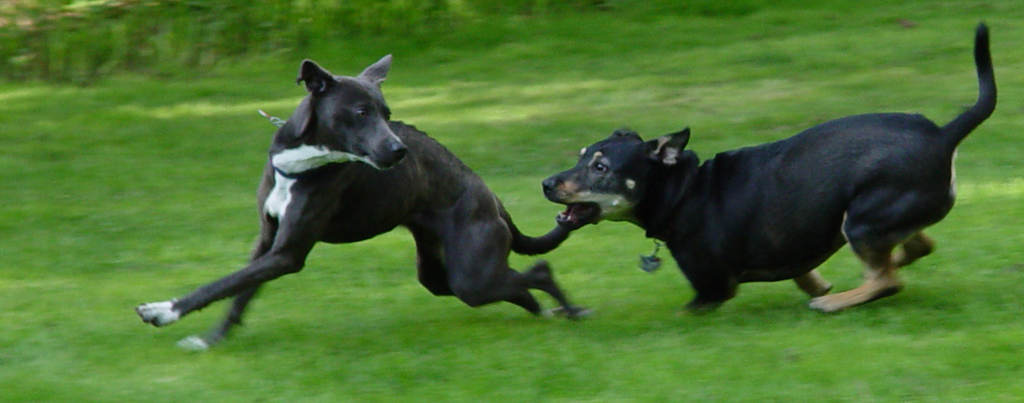 Asigned Subject In Class A By Steve Lombardi For Piper  Kona OCT-2018.jpg